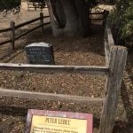 {"focusMode":0,"deviceTilt":0.08514122565719084,"whiteBalanceProgram":0,"macroEnabled":false,"qualityMode":3} (September 14, 2015)